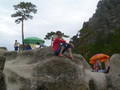 920034 Saniya